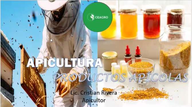 PRODUCTOS APÍCOLAS